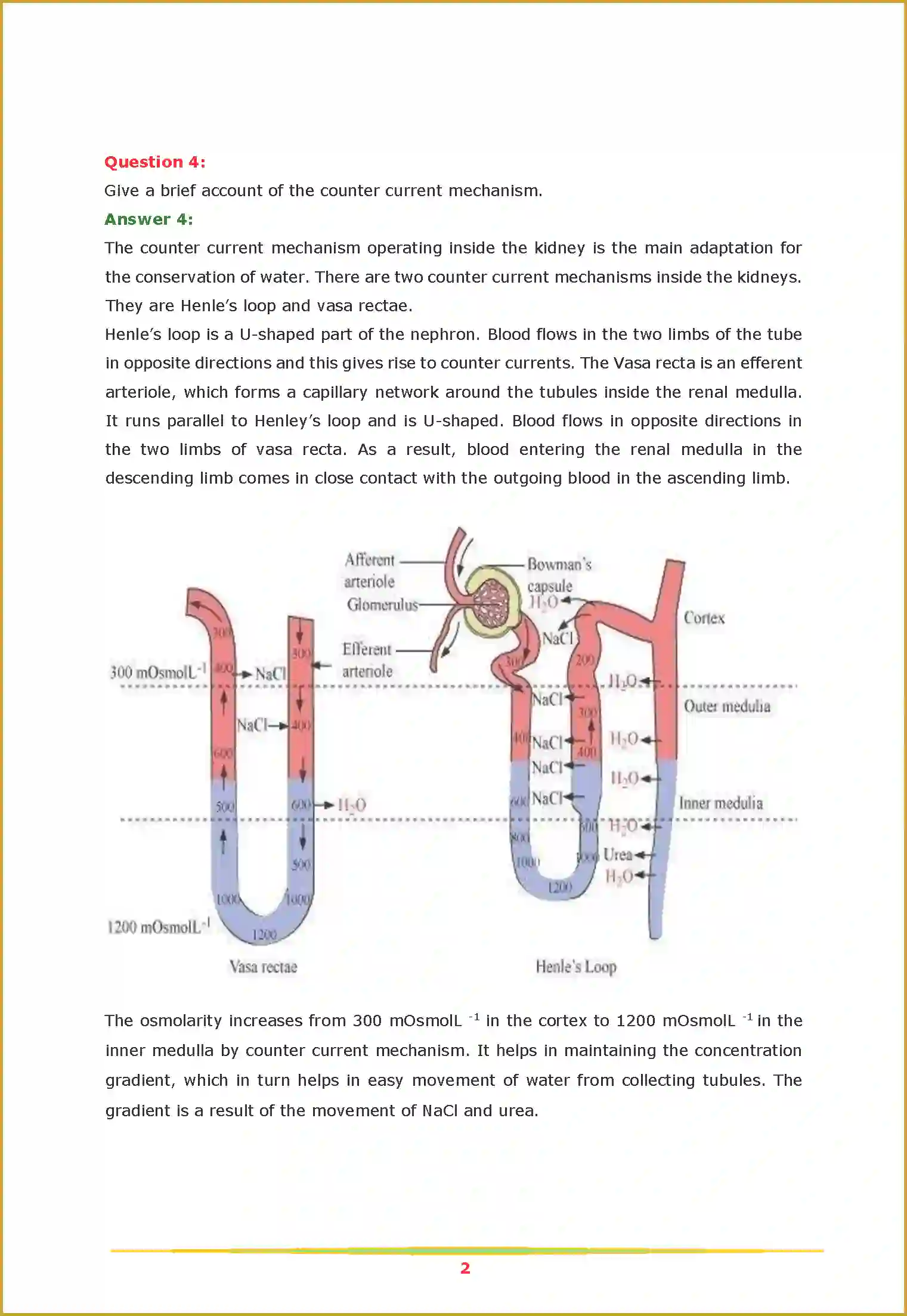 NCERT-Solution-Class-11-Biology-Chapter-19-Excretory-Products-and-Their-Elimination-2629-page-2