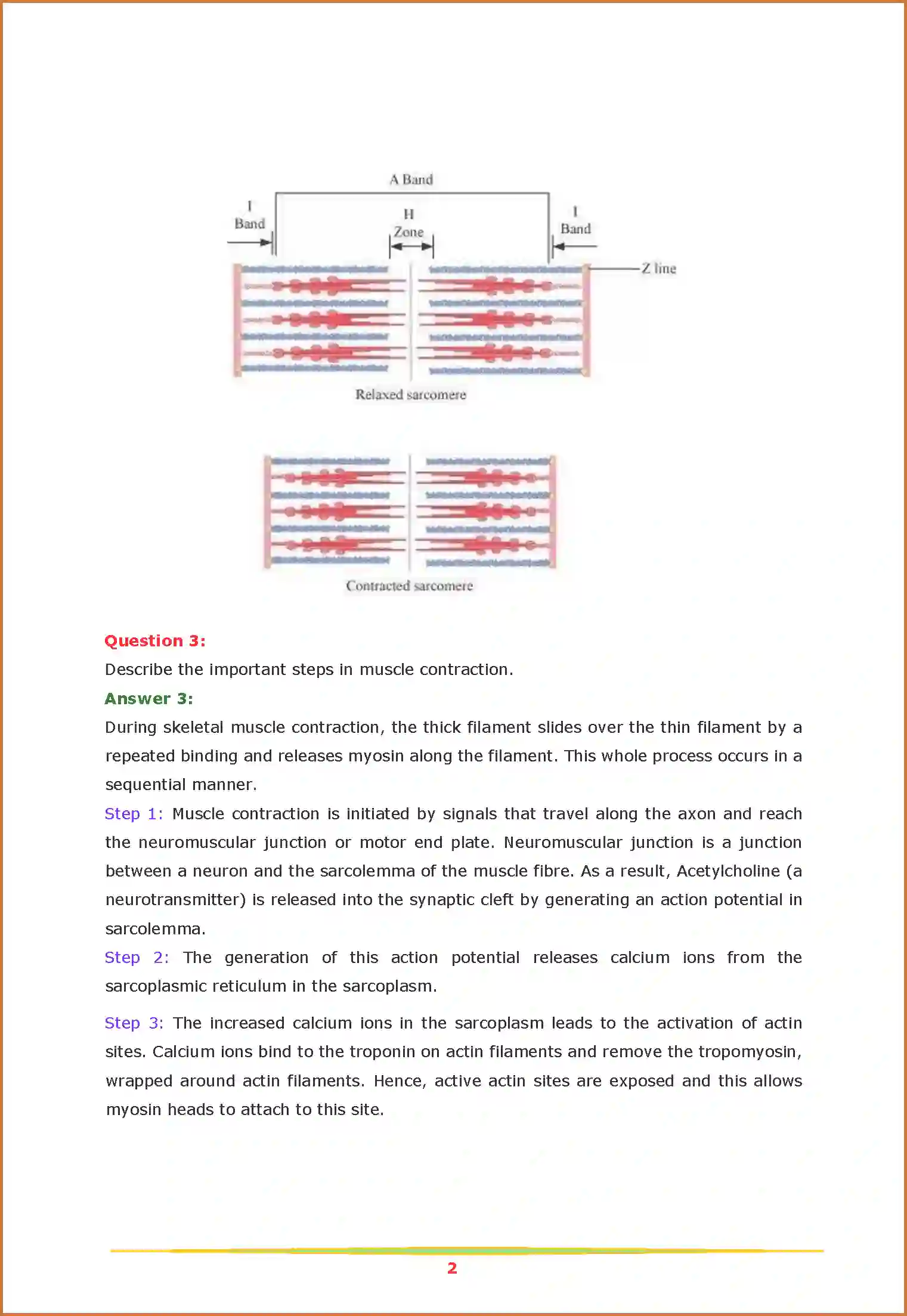 NCERT-Solution-Class-11-Biology-Chapter-20-Locomotion-and-Movement-458-page-2