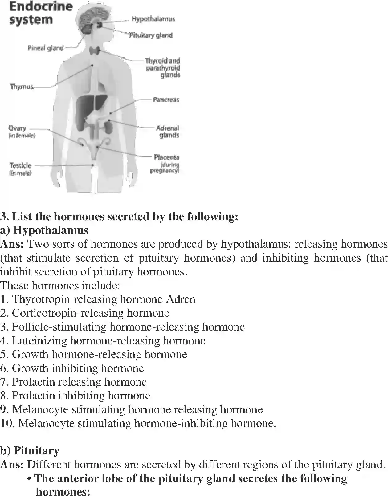 NCERT-Solution-Class-11-Biology-Chapter-22-Chemical-Coordination-and-integration-437-page-2