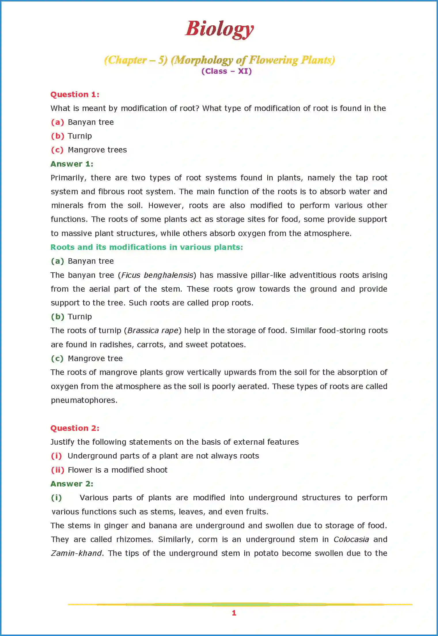 NCERT-Solution-Class-11-Biology-Chapter-5-Morphology-of-Flowering-Plants-2615-page-1