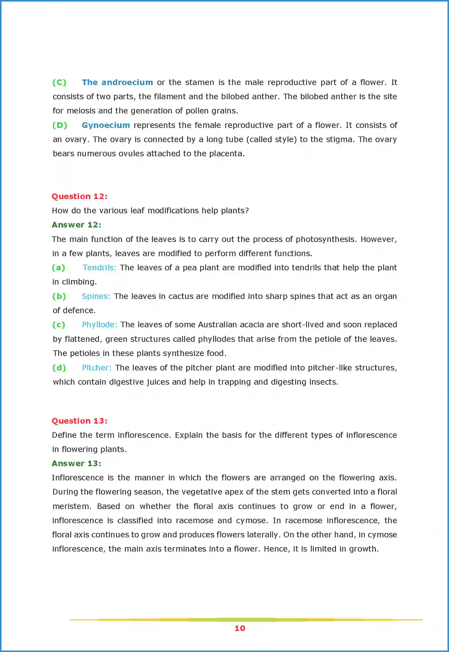 NCERT-Solution-Class-11-Biology-Chapter-5-Morphology-of-Flowering-Plants-2615-page-10