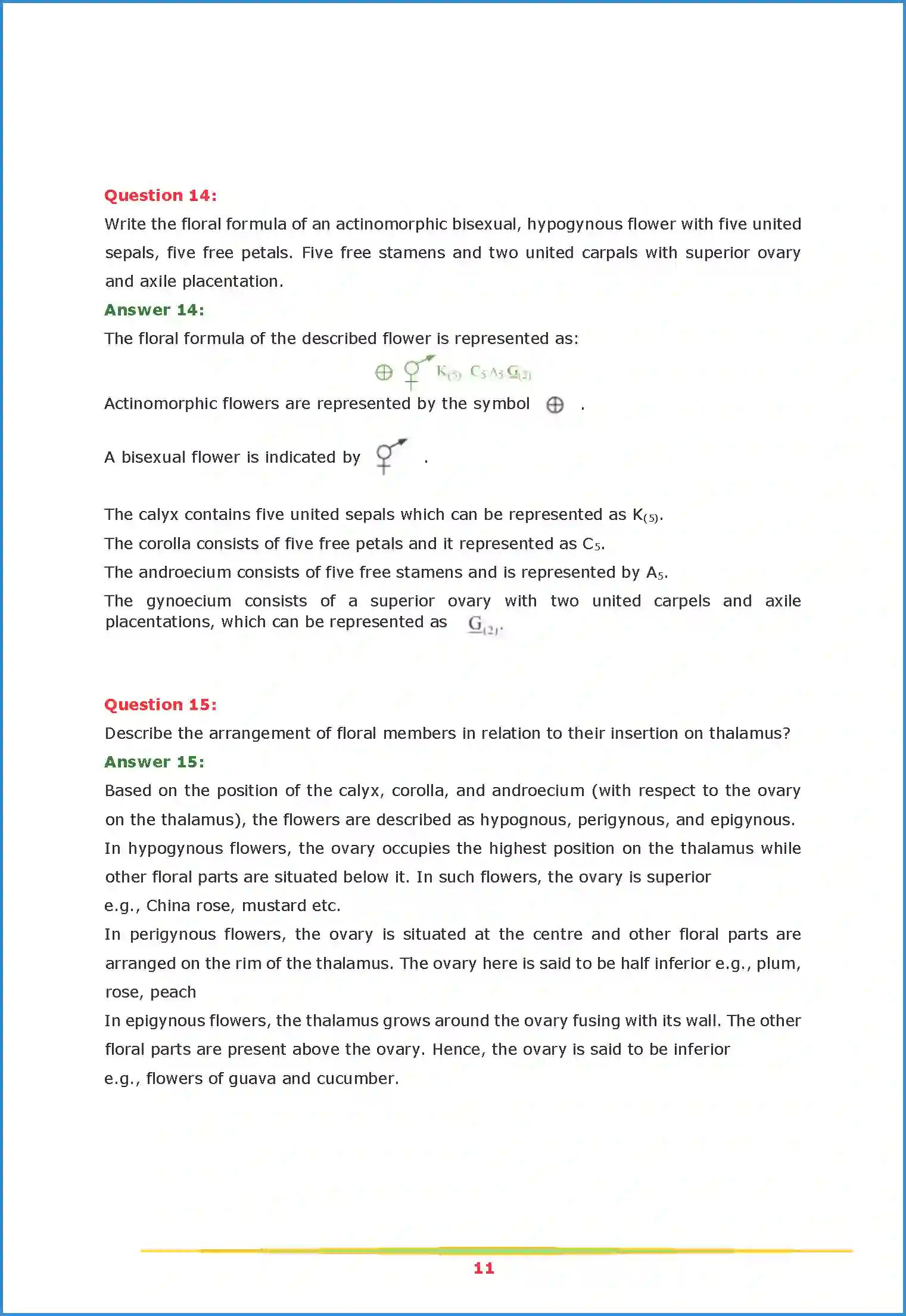 NCERT-Solution-Class-11-Biology-Chapter-5-Morphology-of-Flowering-Plants-2615-page-11