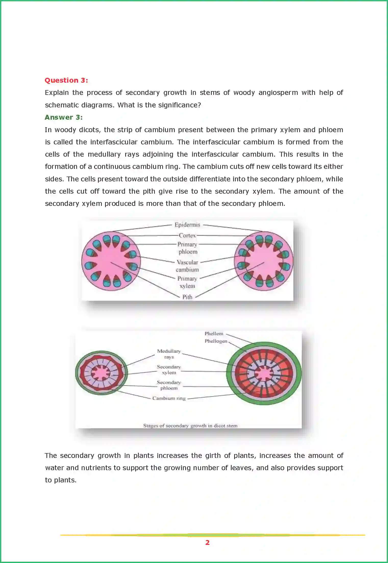 NCERT-Solution-Class-11-Biology-Chapter-6-Anatomy-of-Flowering-Plants-2616-page-2