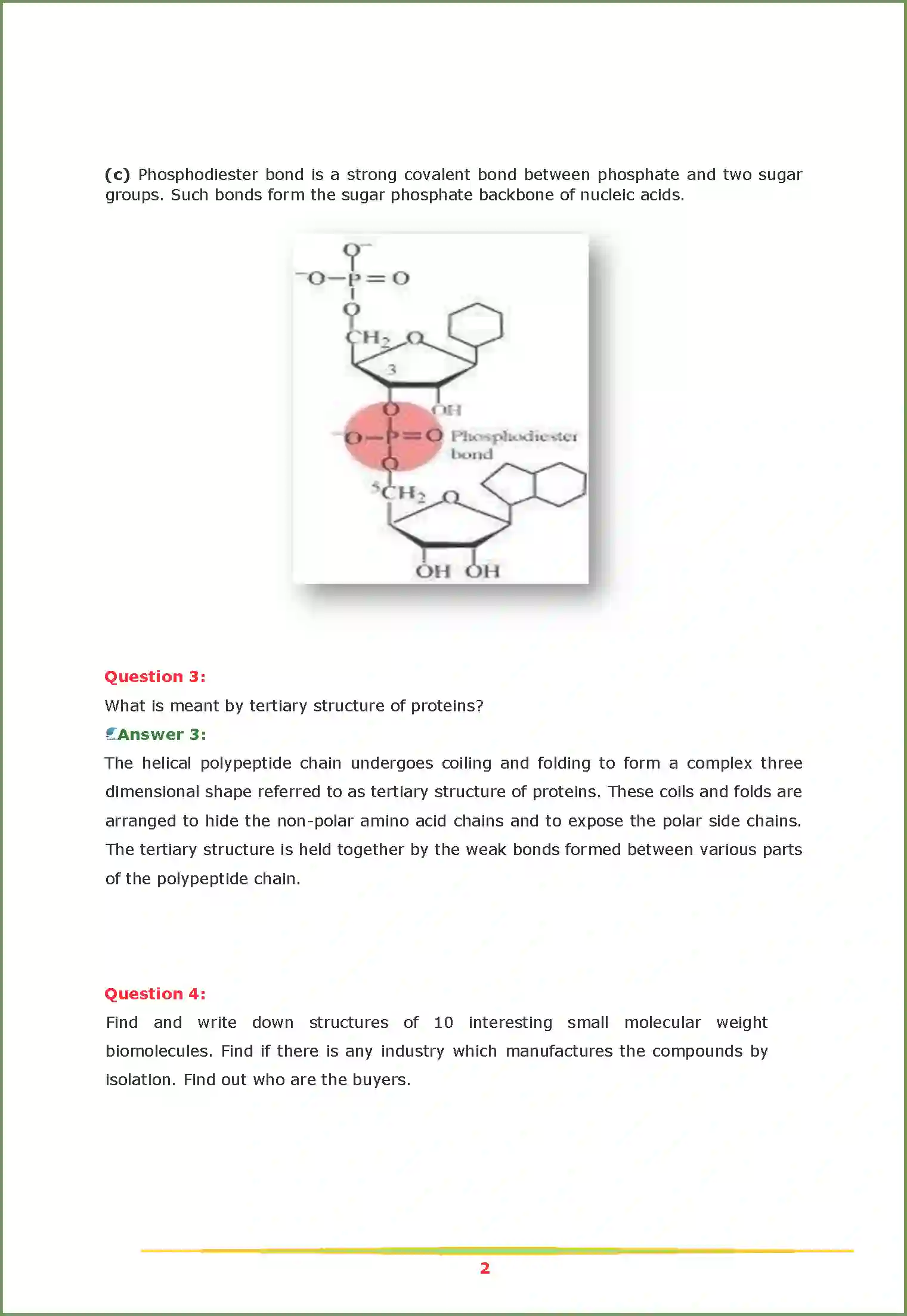 NCERT-Solution-Class-11-Biology-Chapter-9-Biomolecules-2619-page-2