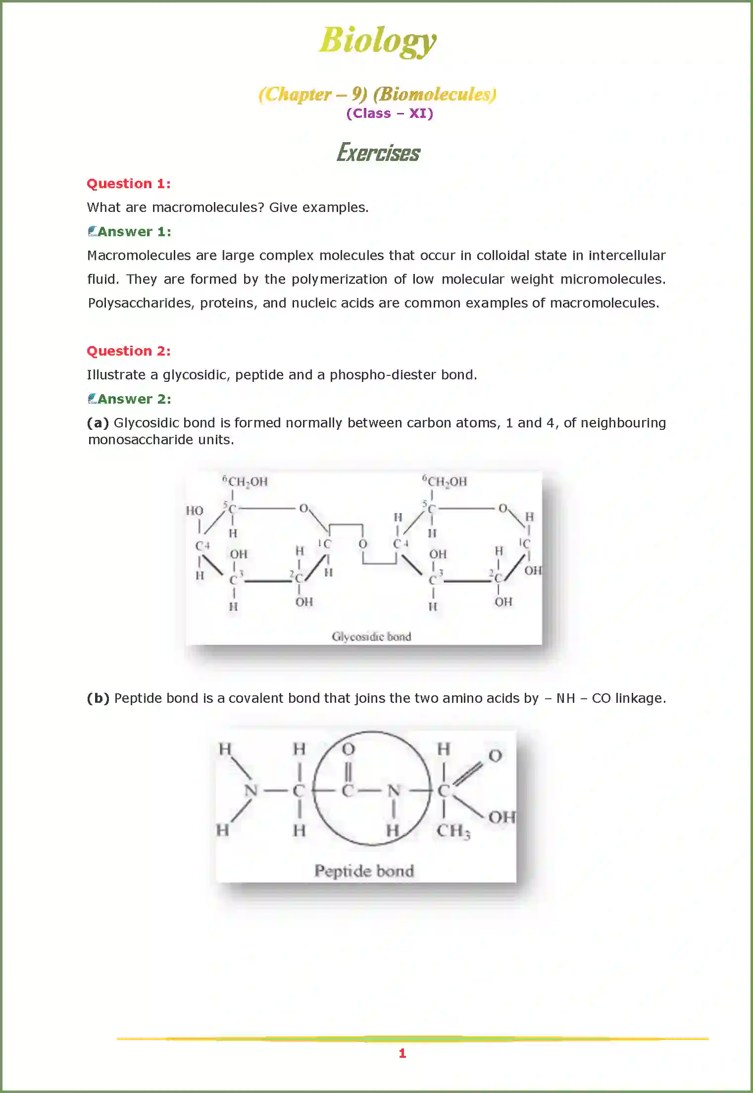 NCERT-Solution-Class-11-Biology-Chapter-9-Biomolecules-447-page-1