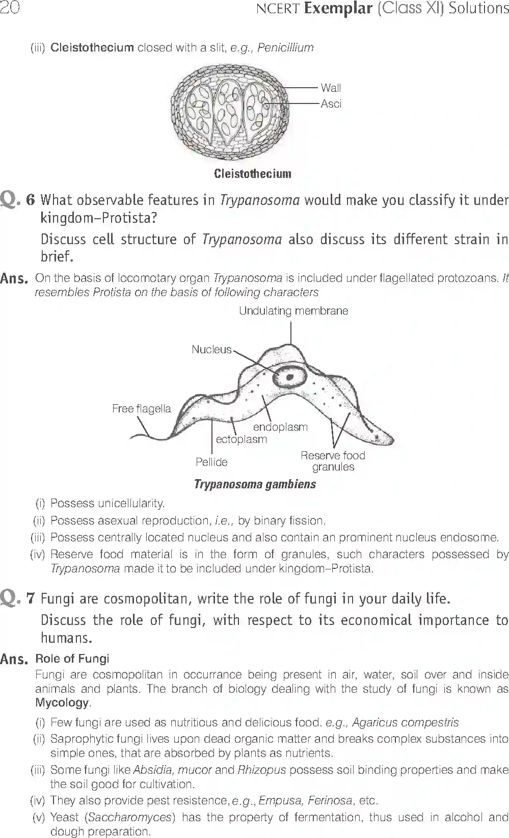 NCERT-Solution-Class-11-Biology-Exemplar-Biological-Classification-2919-page-8