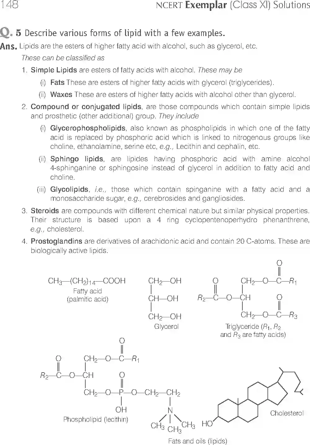 NCERT-Solution-Class-11-Biology-Exemplar-Biomolecules-2926-page-15