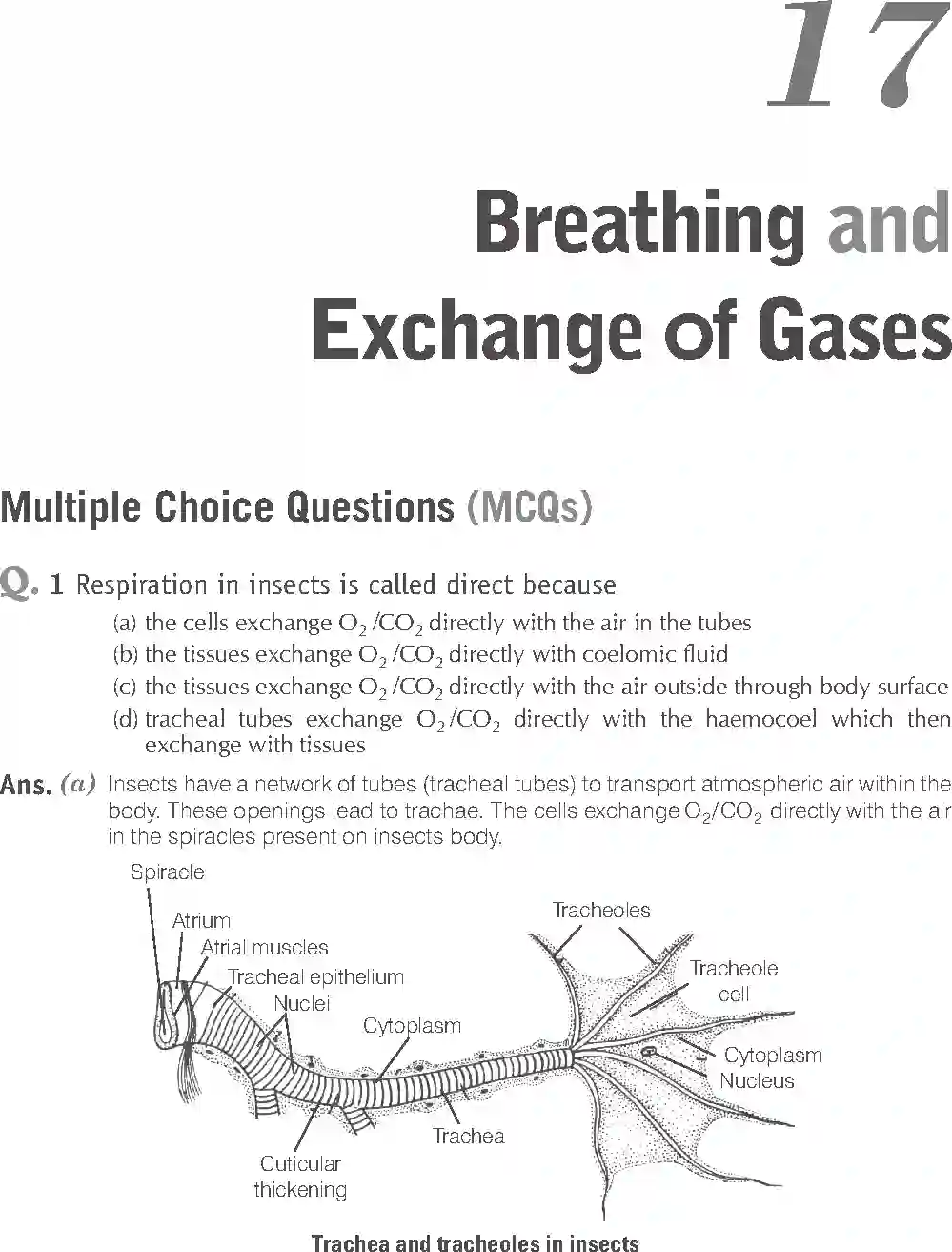 NCERT-Solution-Class-11-Biology-Exemplar-Breathing-And-Exchange-of-Gases-2934-page-1