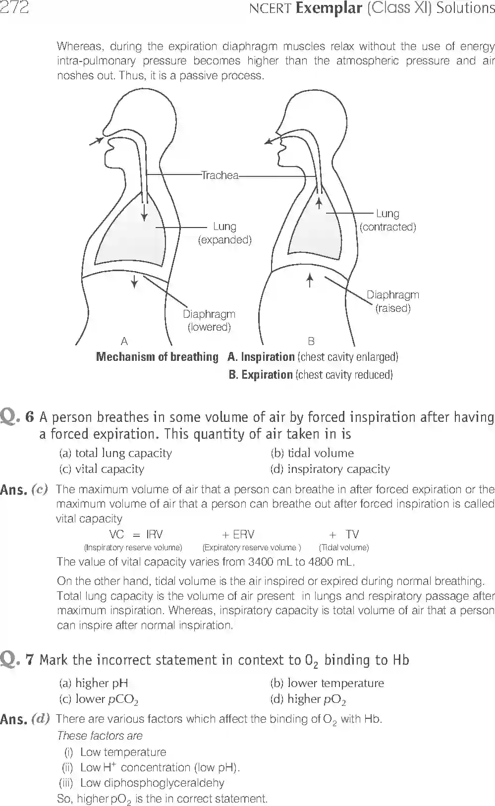 NCERT-Solution-Class-11-Biology-Exemplar-Breathing-And-Exchange-of-Gases-2934-page-3