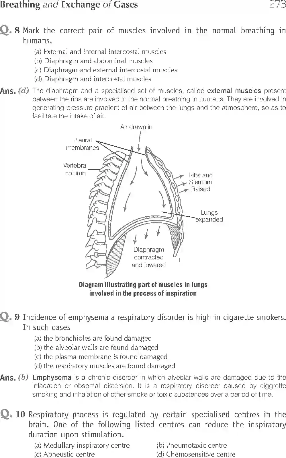 NCERT-Solution-Class-11-Biology-Exemplar-Breathing-And-Exchange-of-Gases-2934-page-4