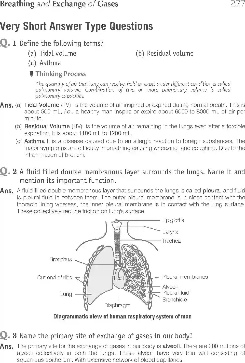 NCERT-Solution-Class-11-Biology-Exemplar-Breathing-And-Exchange-of-Gases-2934-page-8