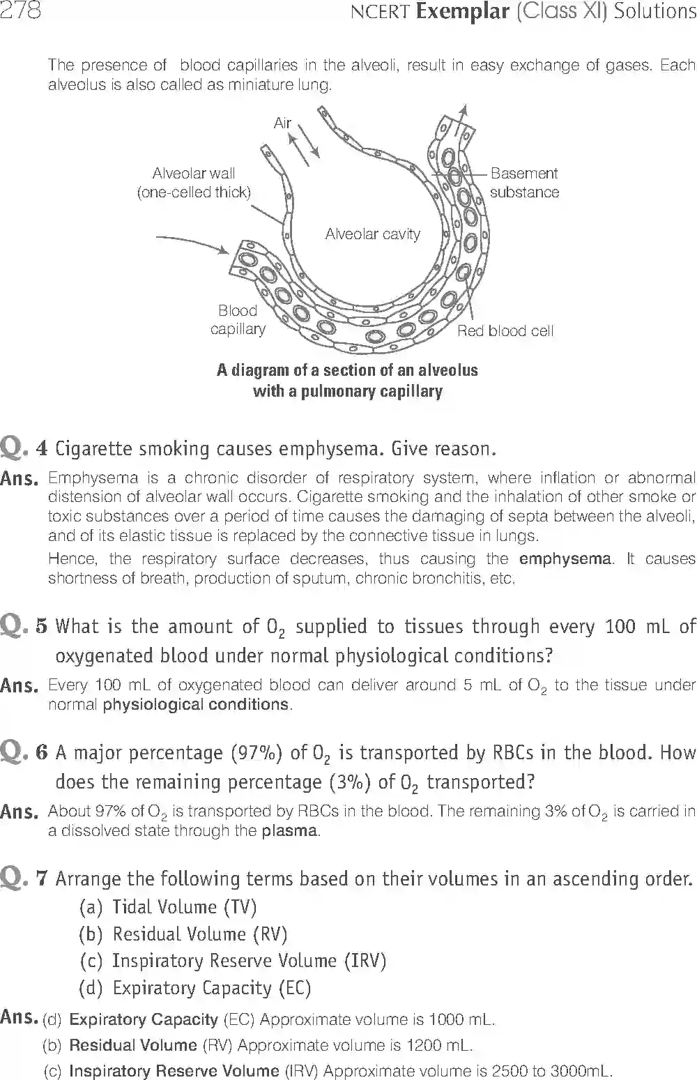 NCERT-Solution-Class-11-Biology-Exemplar-Breathing-And-Exchange-of-Gases-2934-page-9