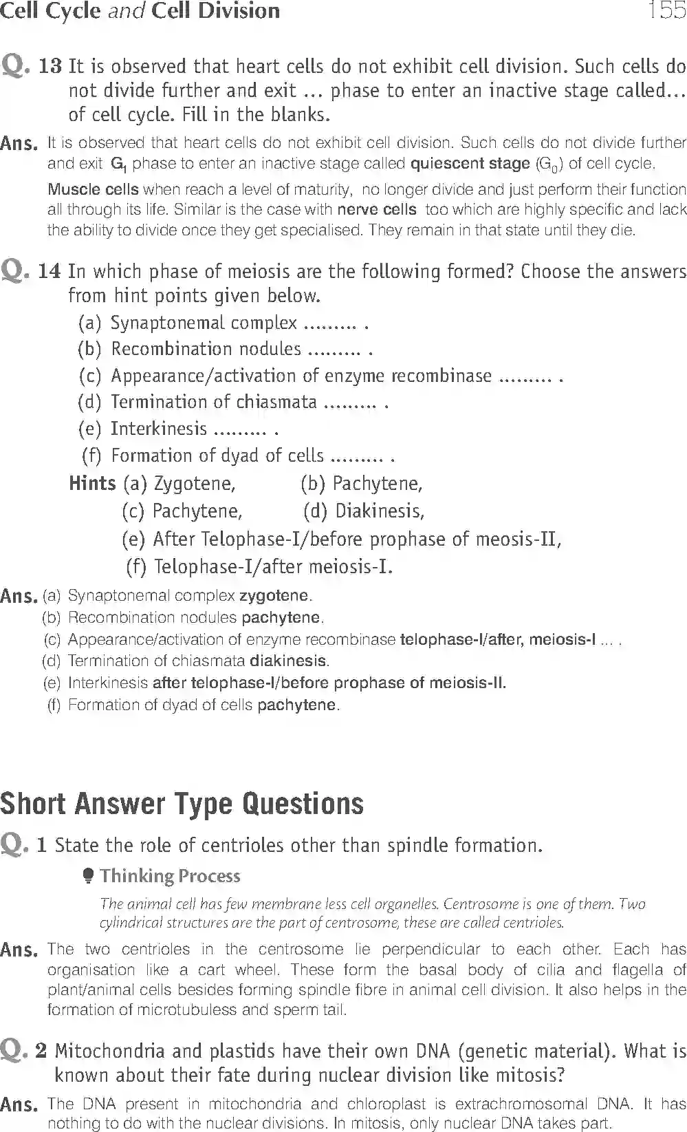 Class 11 Biology Exemplar Cell Cycle and Cell Division Solution