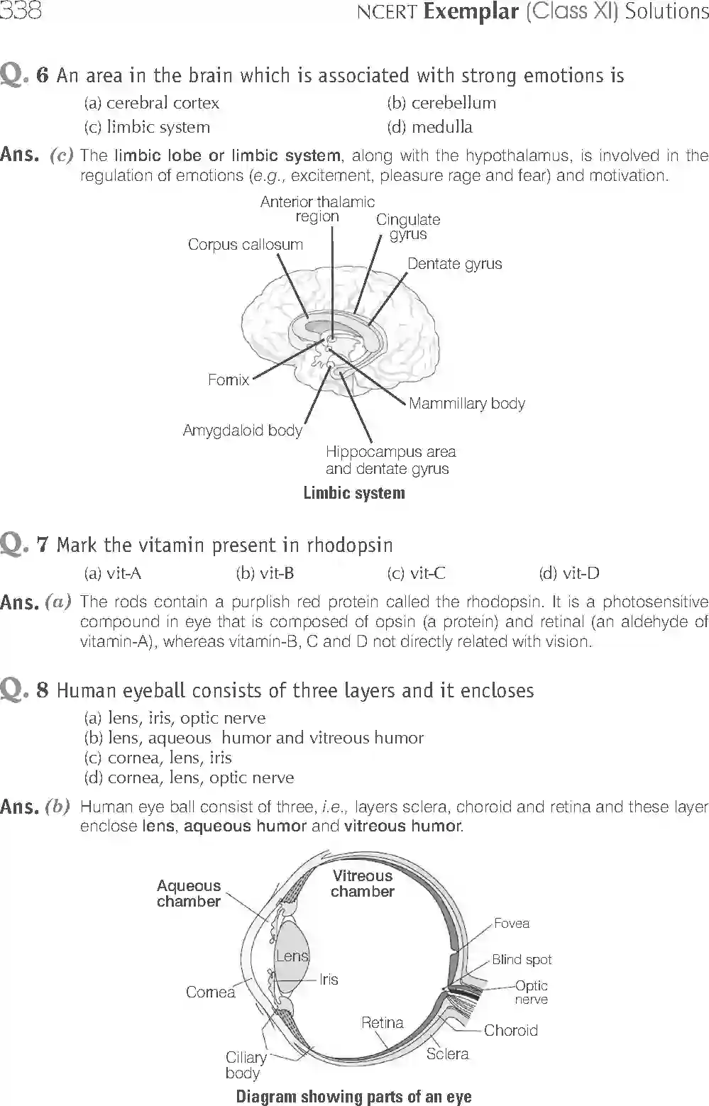 NCERT-Solution-Class-11-Biology-Exemplar-Neural-Control-And-Coordination-2938-page-3
