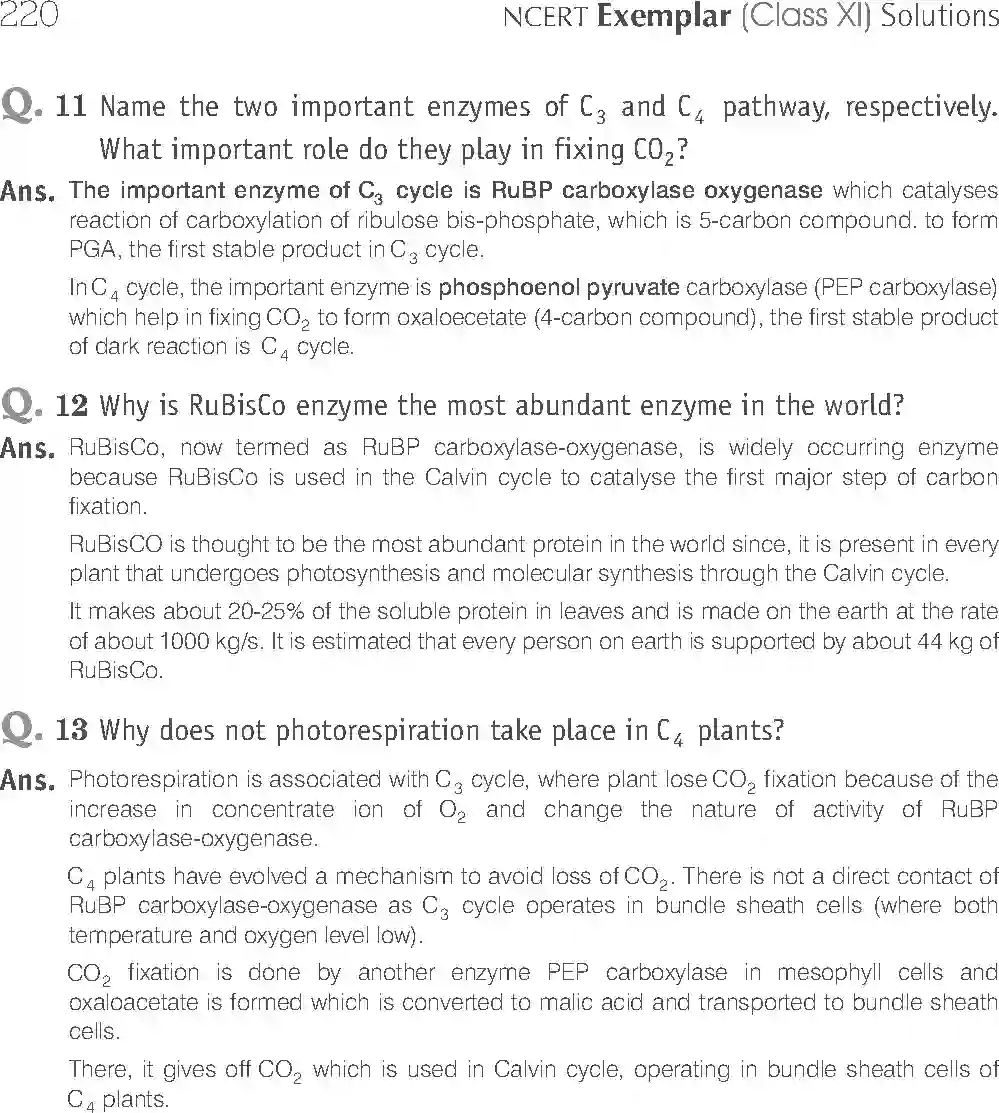 NCERT-Solution-Class-11-Biology-Exemplar-Photosynthesis-in-Higher-Plants-2930-page-21