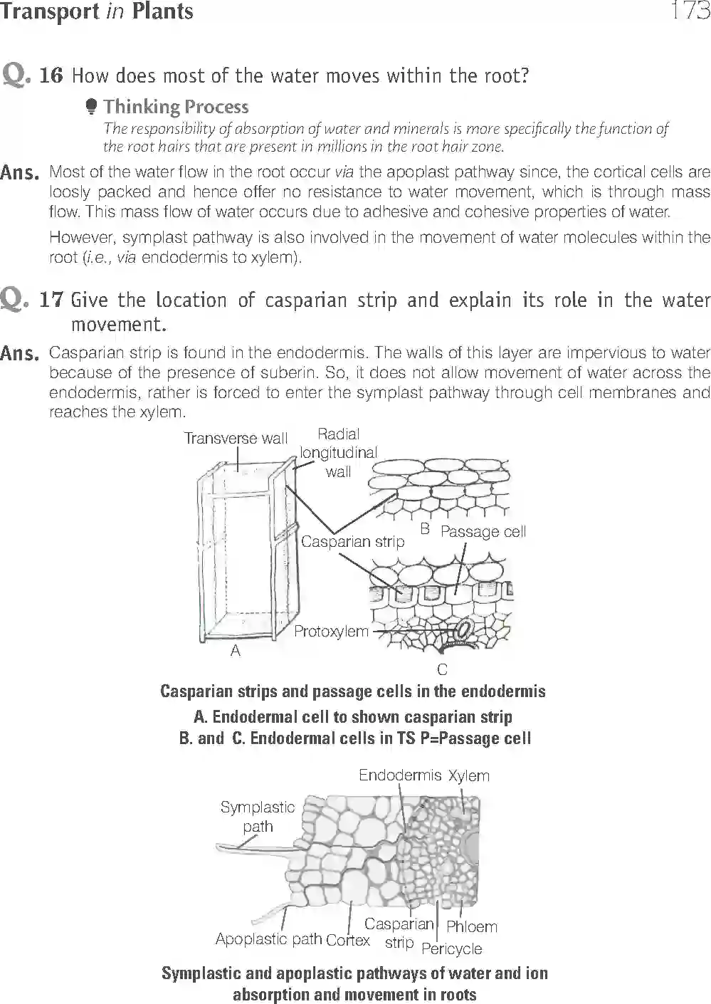 NCERT-Solution-Class-11-Biology-Exemplar-Transport-in-Plants-2928-page-9