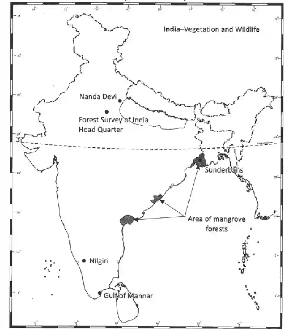 NCERT-Solution-Class-11-India-Physical-Environment-Natural-Vegetation-2958-page-6