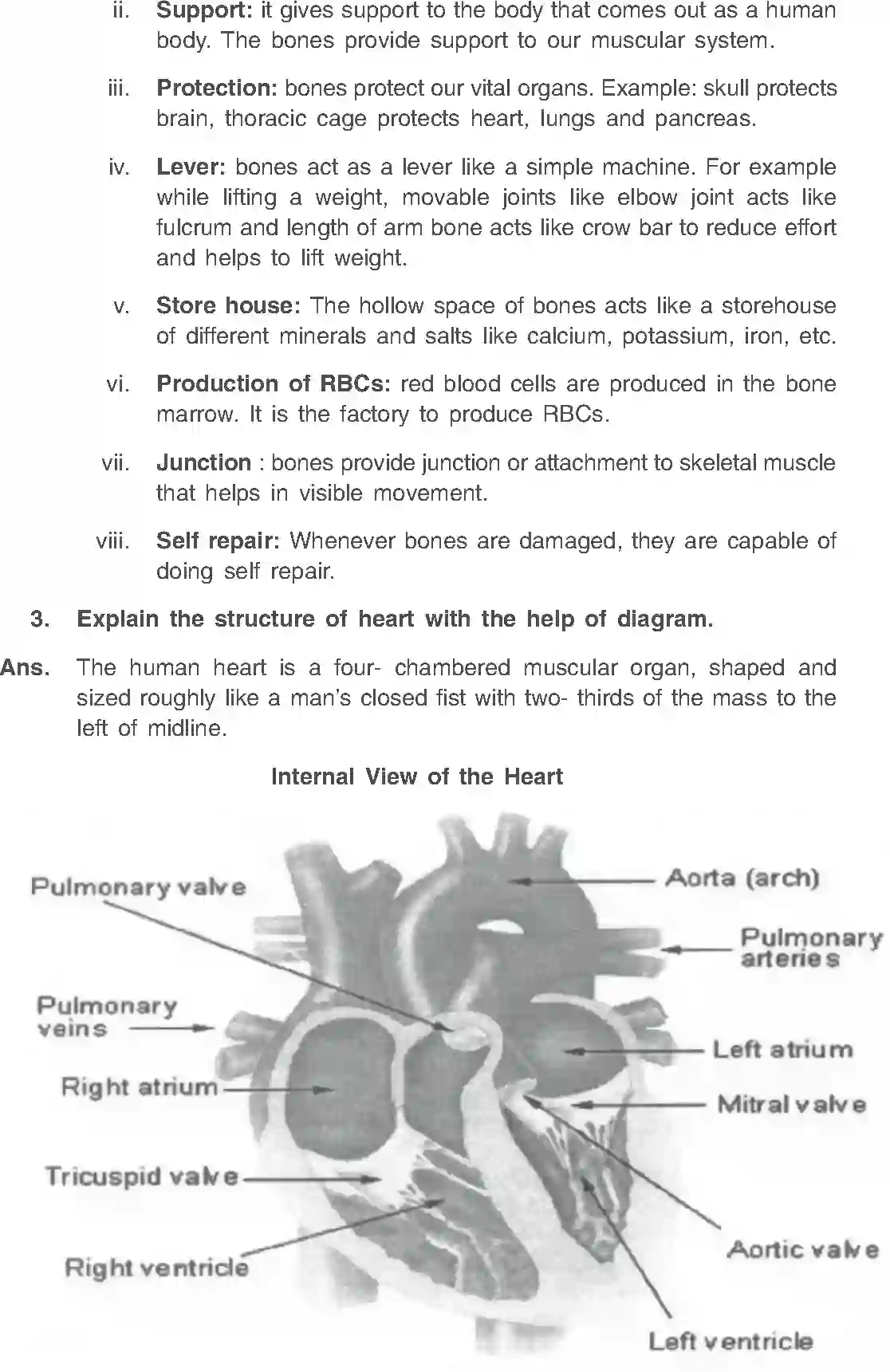 NCERT-Solution-Class-11-Physical-Education-Chapter-8-Fundamentals-of-Anatomy-and-Physiology-2638-page-8