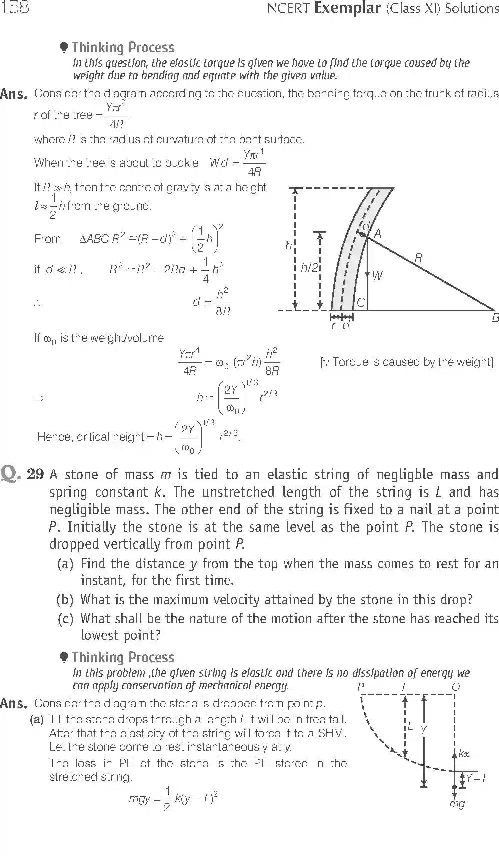 NCERT-Solution-Class-11-Physics-Exemplar-Mechanical-Properties-of-Solids-2947-page-15