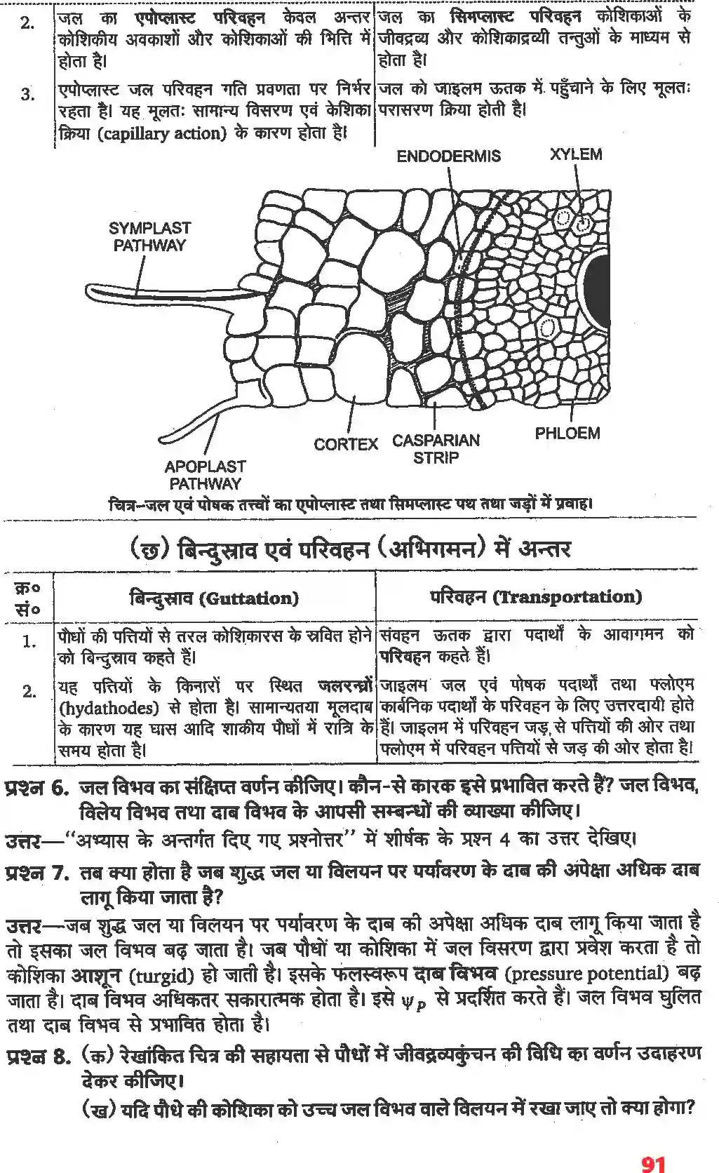 NCERT-Solution-Class-11-जीव-विज्ञान-पौधों-में-परिवहन-4658-page-4
