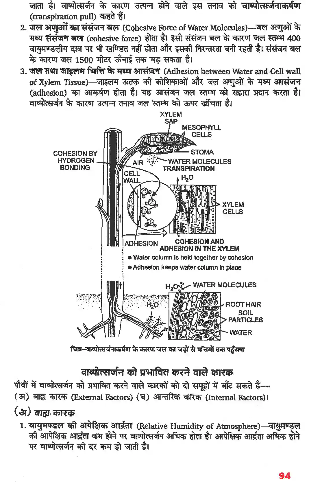 NCERT-Solution-Class-11-जीव-विज्ञान-पौधों-में-परिवहन-4658-page-7
