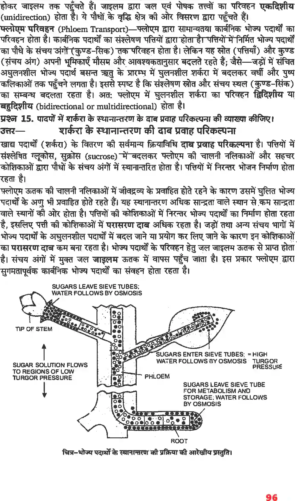 NCERT-Solution-Class-11-जीव-विज्ञान-पौधों-में-परिवहन-4658-page-9