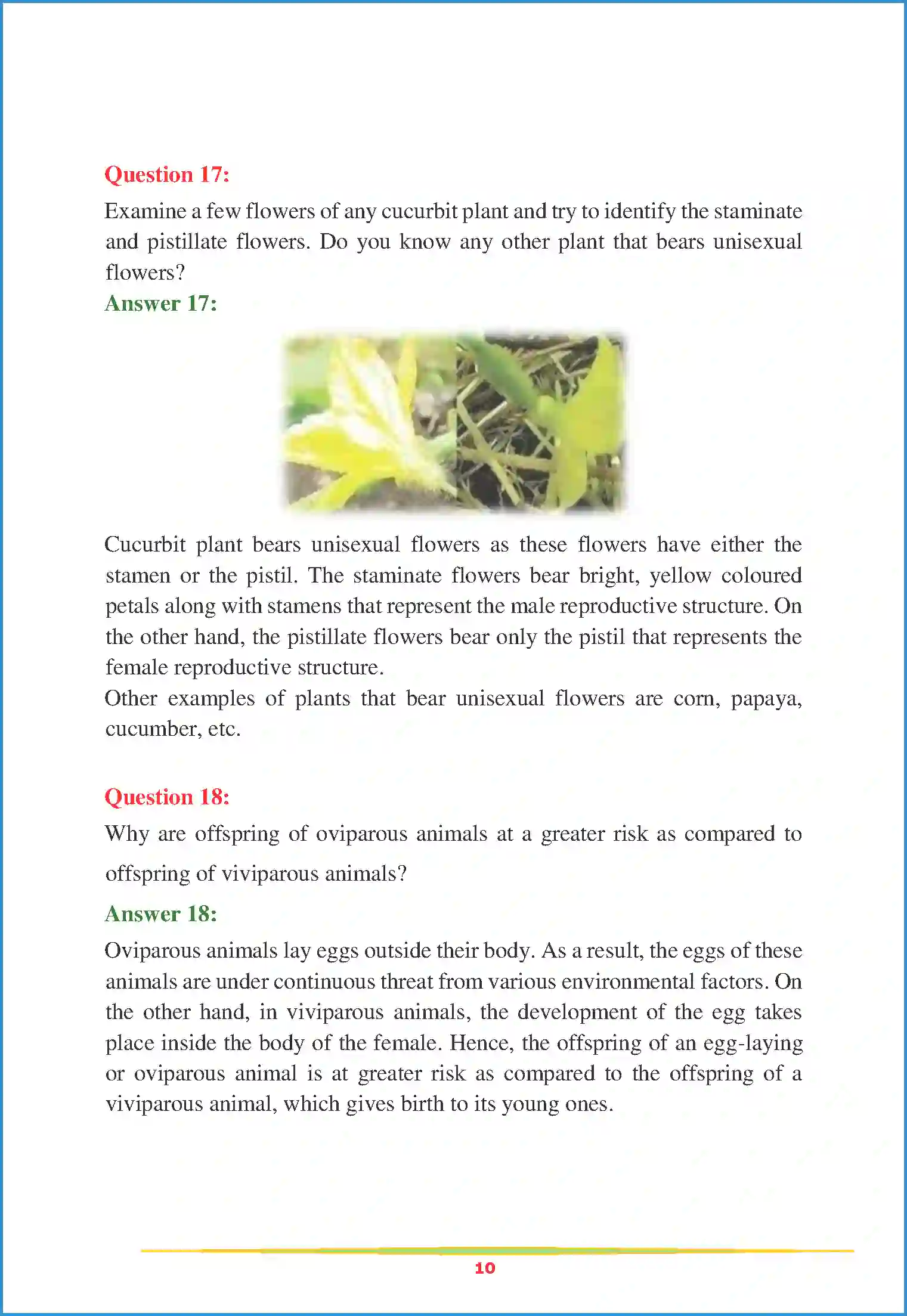 NCERT-Solution-Class-12-Biology-Chapter-1-Reproduction-in-Organisms-2246-page-10