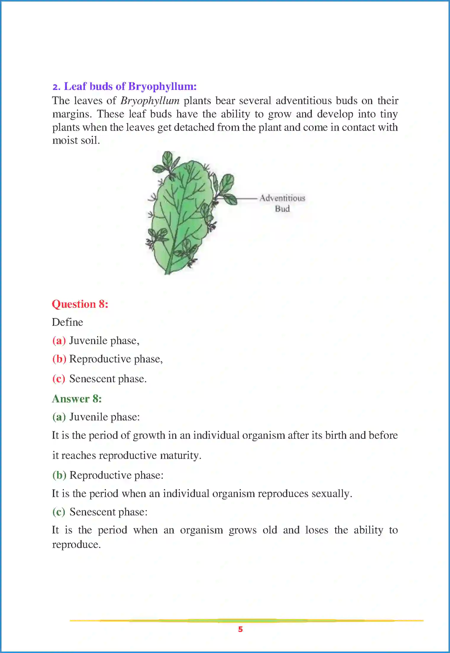 NCERT-Solution-Class-12-Biology-Chapter-1-Reproduction-in-Organisms-2246-page-5