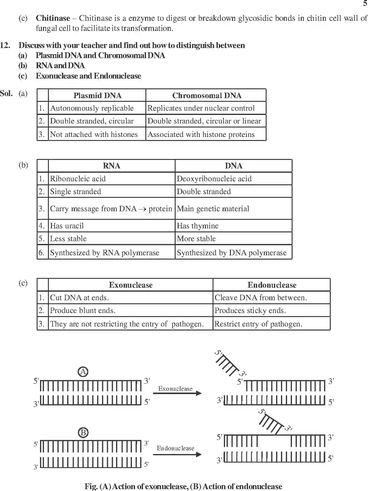 NCERT-Solution-Class-12-Biology-Chapter-11-Biotechnology-Principles-and-Processes-2256-page-3