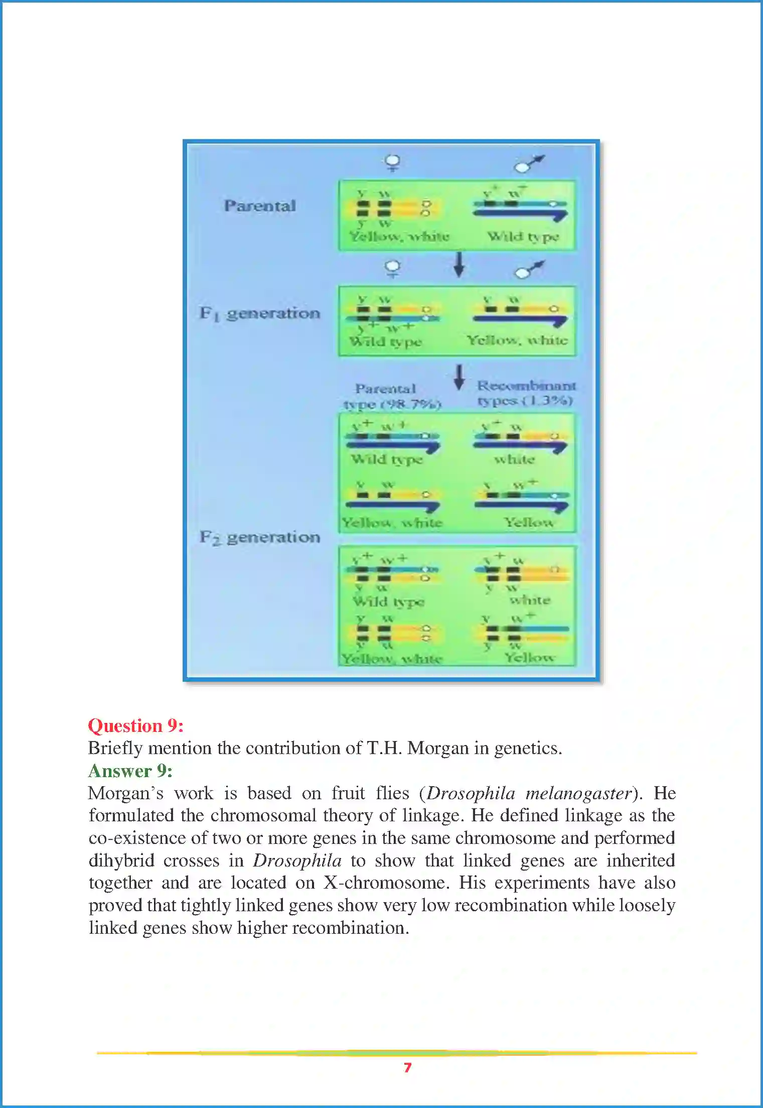 NCERT-Solution-Class-12-Biology-Chapter-5-Principle-of-Inheritance-and-Variation-2250-page-7