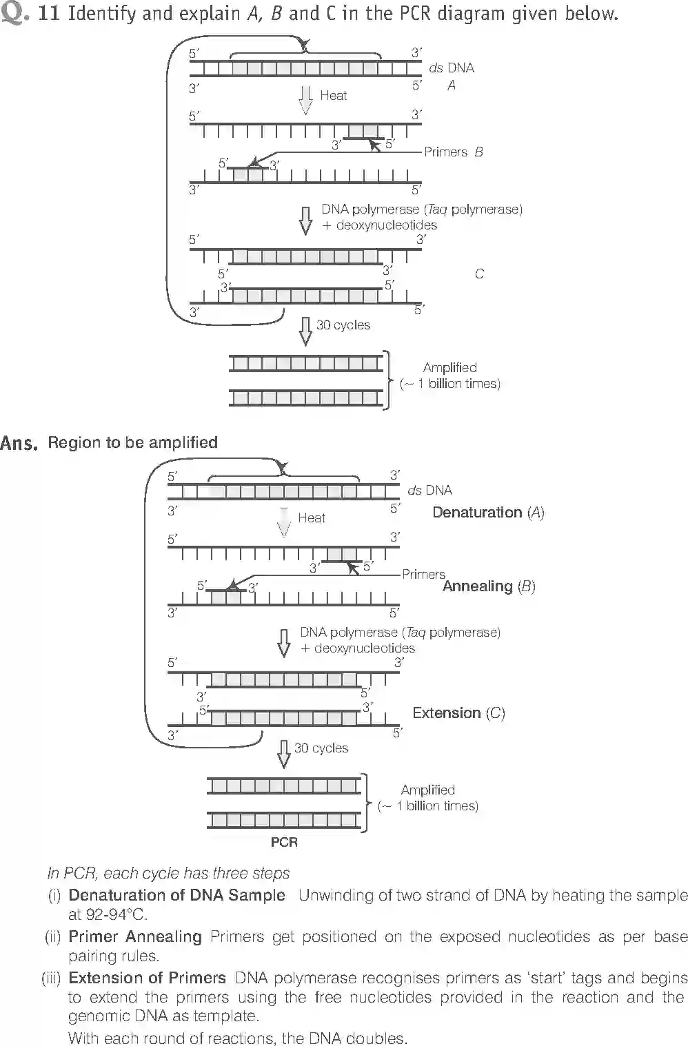 NCERT-Solution-Class-12-Biology-Exemplar-Biotechnology-Principles-and-Processes-2499-page-11