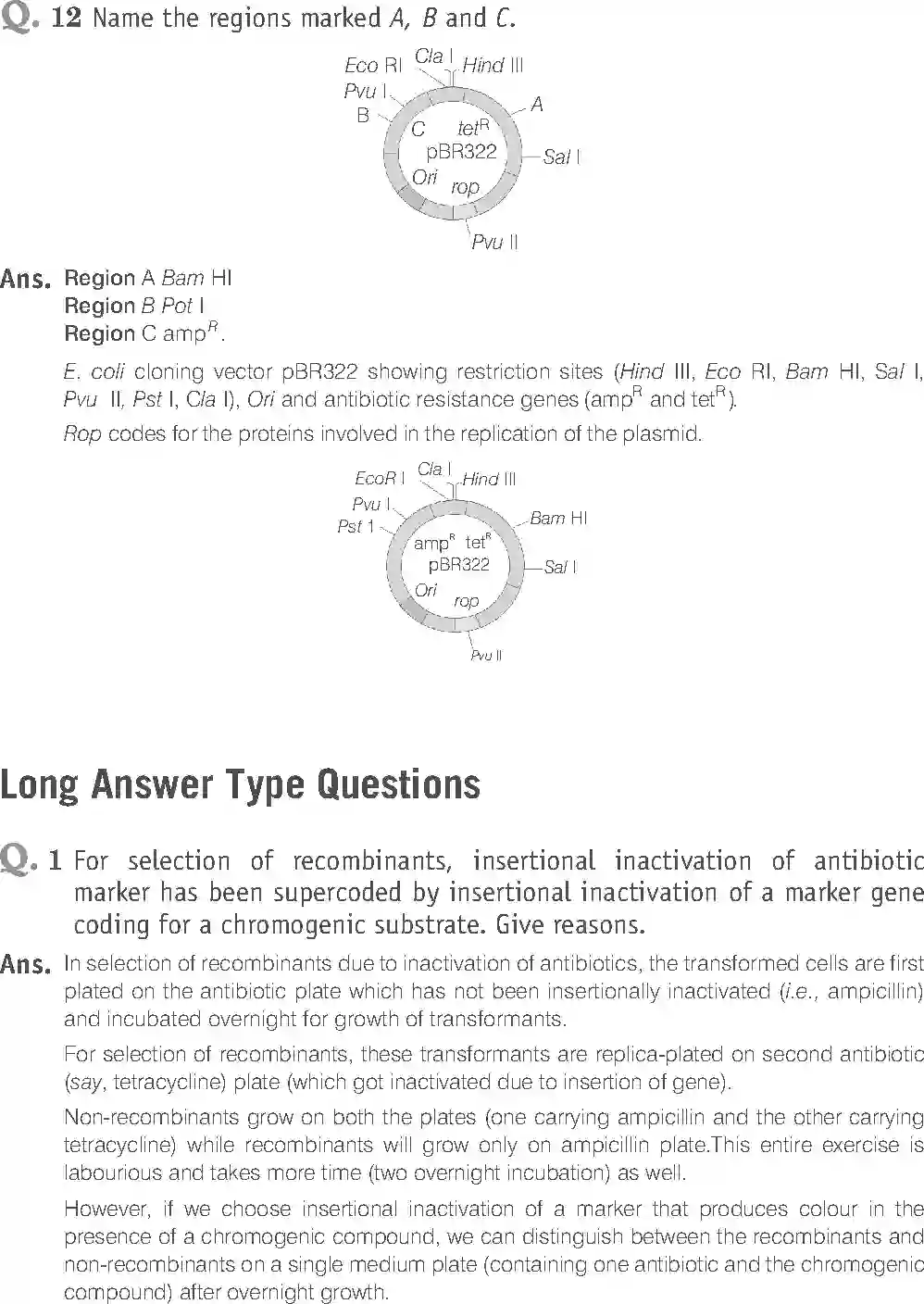 NCERT-Solution-Class-12-Biology-Exemplar-Biotechnology-Principles-and-Processes-2499-page-12