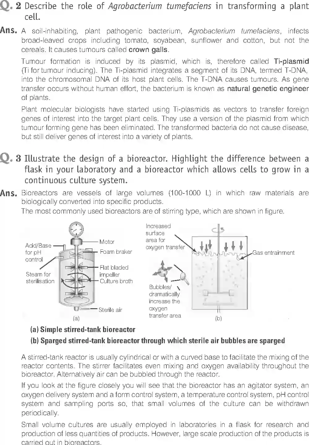 NCERT-Solution-Class-12-Biology-Exemplar-Biotechnology-Principles-and-Processes-2499-page-13