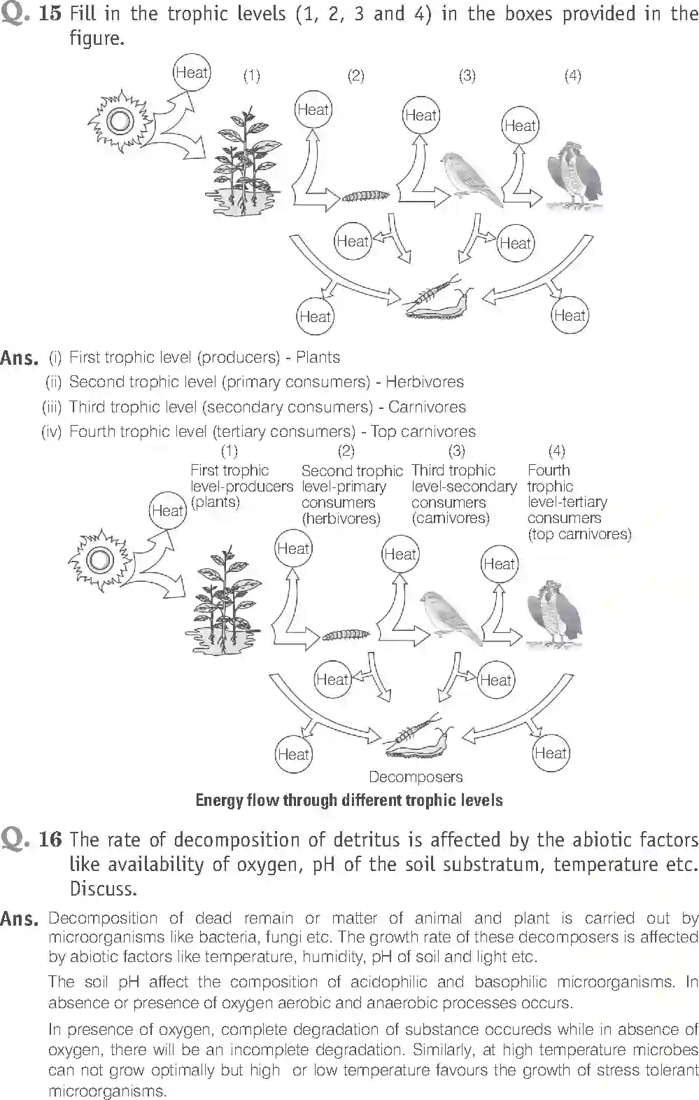 NCERT-Solution-Class-12-Biology-Exemplar-Ecosystem-330-page-13