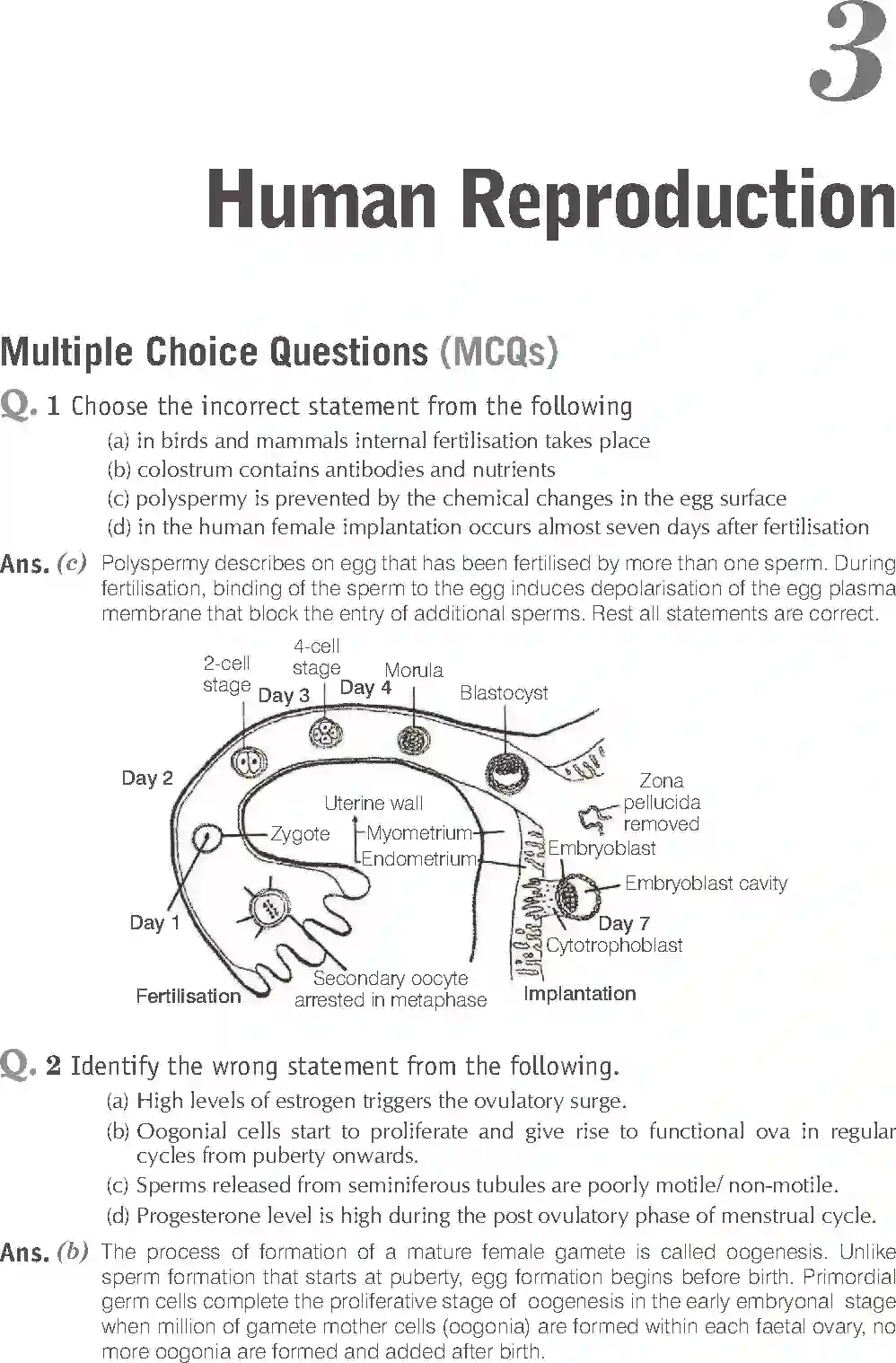 NCERT-Solution-Class-12-Biology-Exemplar-Human-Reproduction-2491-page-1