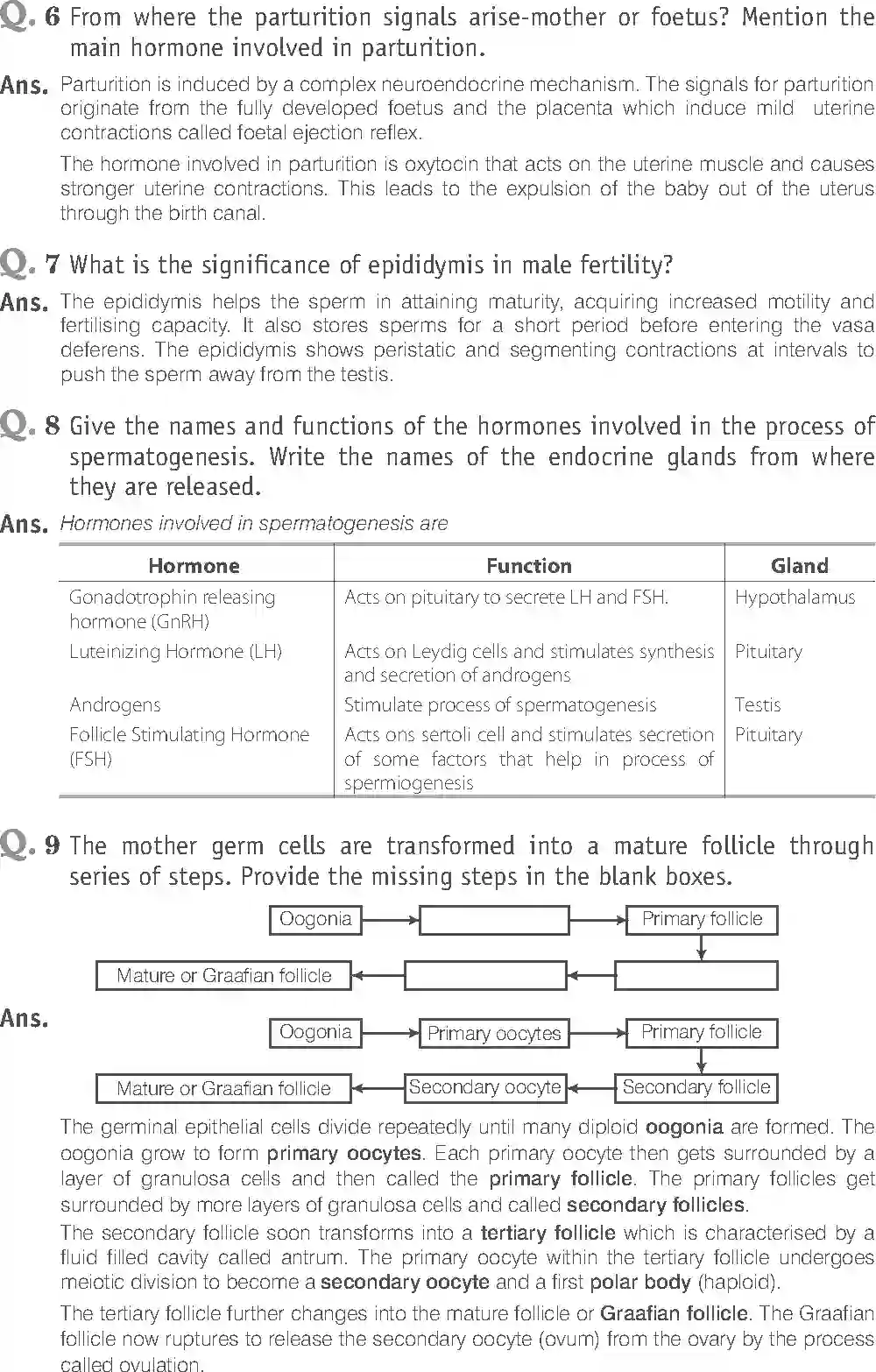 NCERT-Solution-Class-12-Biology-Exemplar-Human-Reproduction-2491-page-10
