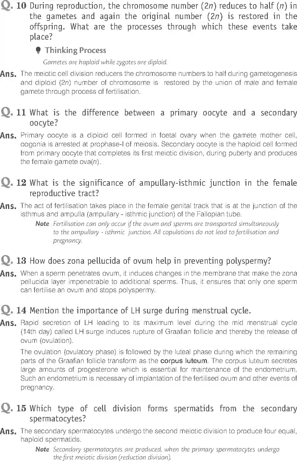 NCERT-Solution-Class-12-Biology-Exemplar-Human-Reproduction-2491-page-11