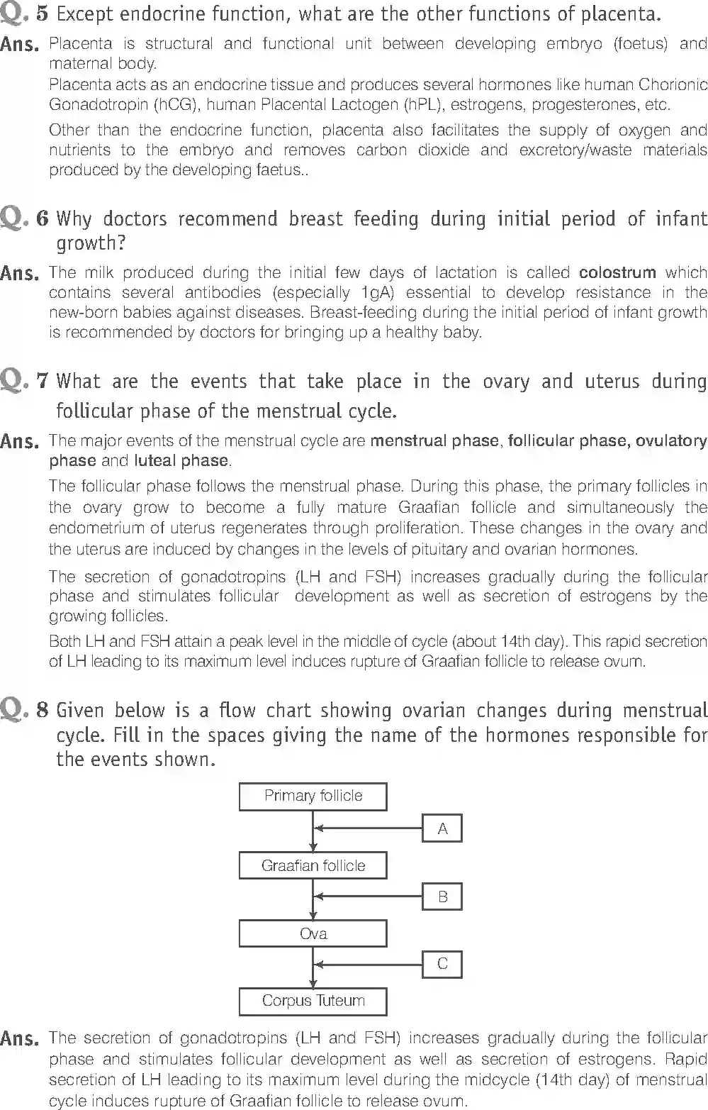 NCERT-Solution-Class-12-Biology-Exemplar-Human-Reproduction-2491-page-13