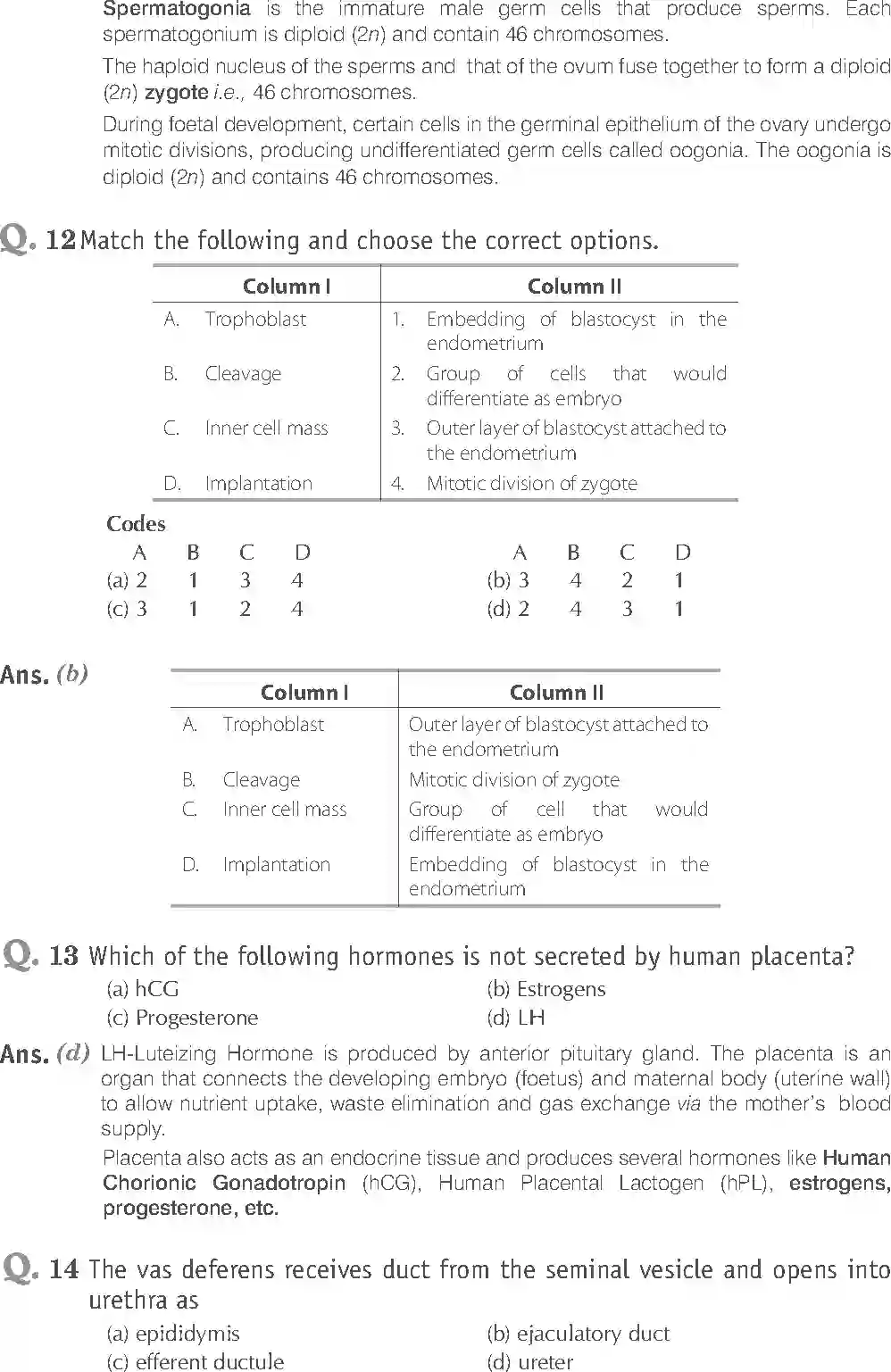 NCERT-Solution-Class-12-Biology-Exemplar-Human-Reproduction-2491-page-6
