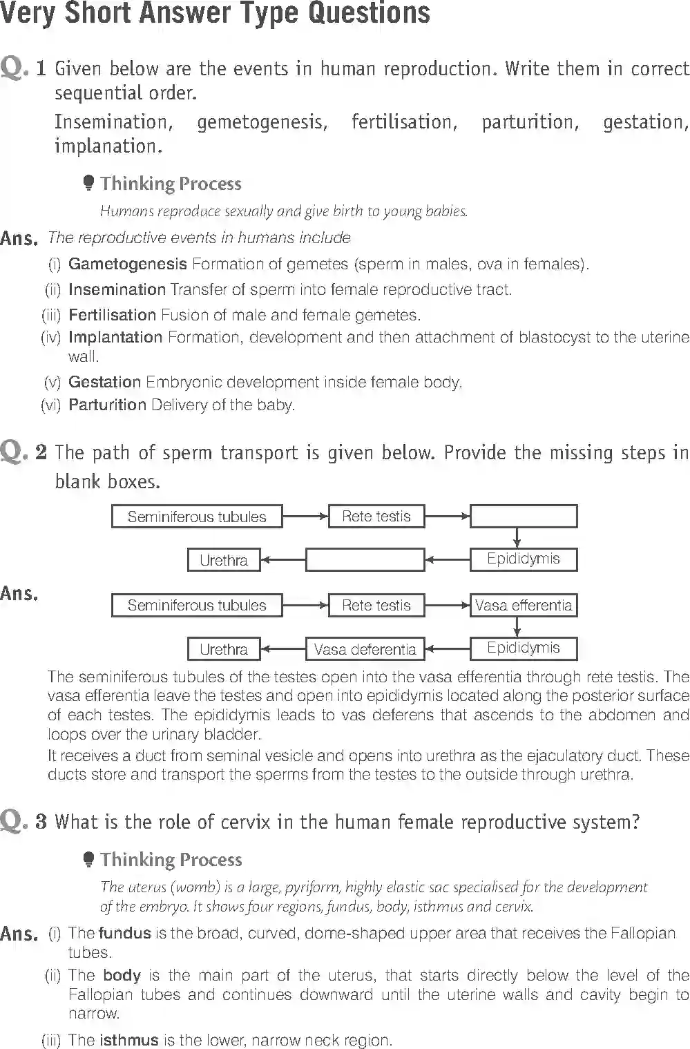 NCERT-Solution-Class-12-Biology-Exemplar-Human-Reproduction-2491-page-8