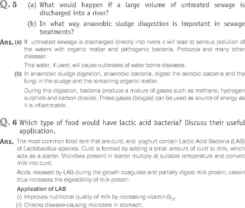 NCERT-Solution-Class-12-Biology-Exemplar-Microbes-in-Human-Welfare-2498-page-15