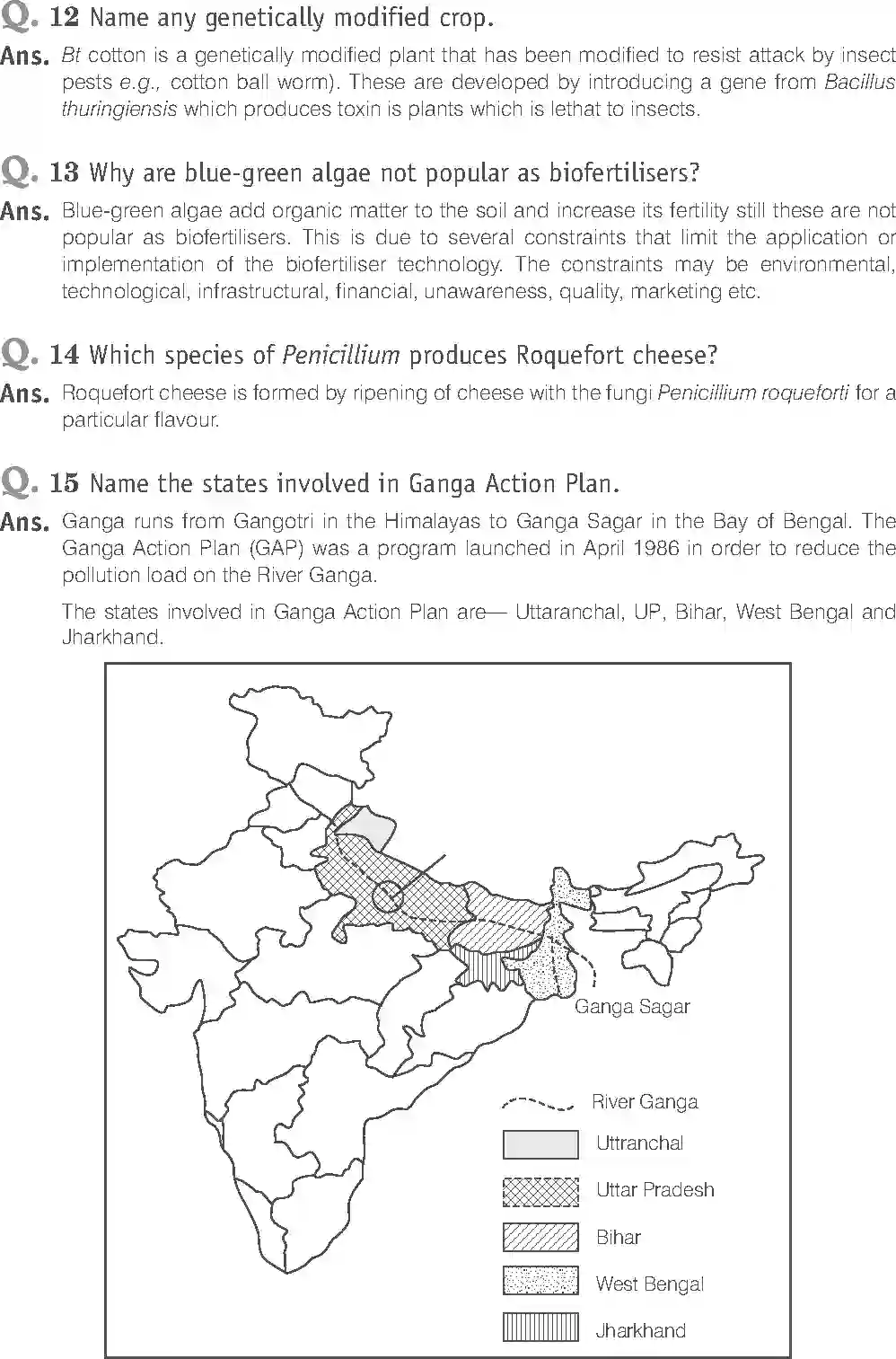 NCERT-Solution-Class-12-Biology-Exemplar-Microbes-in-Human-Welfare-2498-page-9