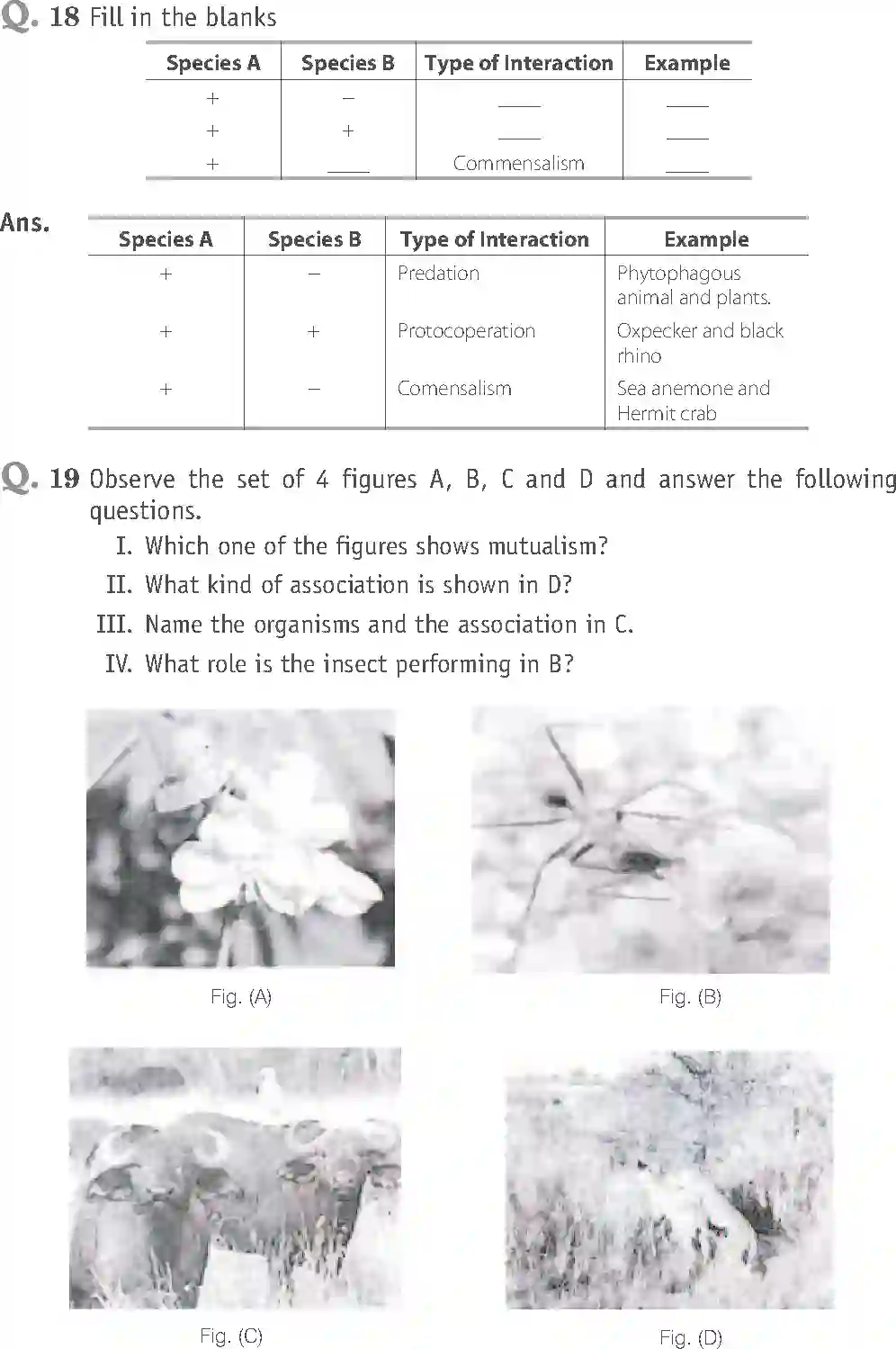 NCERT-Solution-Class-12-Biology-Exemplar-Organisms-and-Populations-2501-page-12