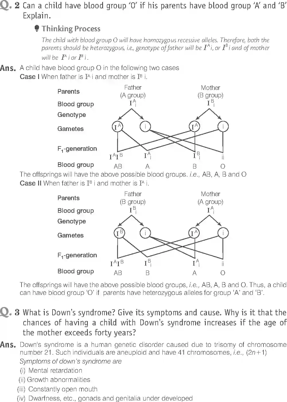 NCERT-Solution-Class-12-Biology-Exemplar-Principle-of-Inheritance-and-Variations-2493-page-16