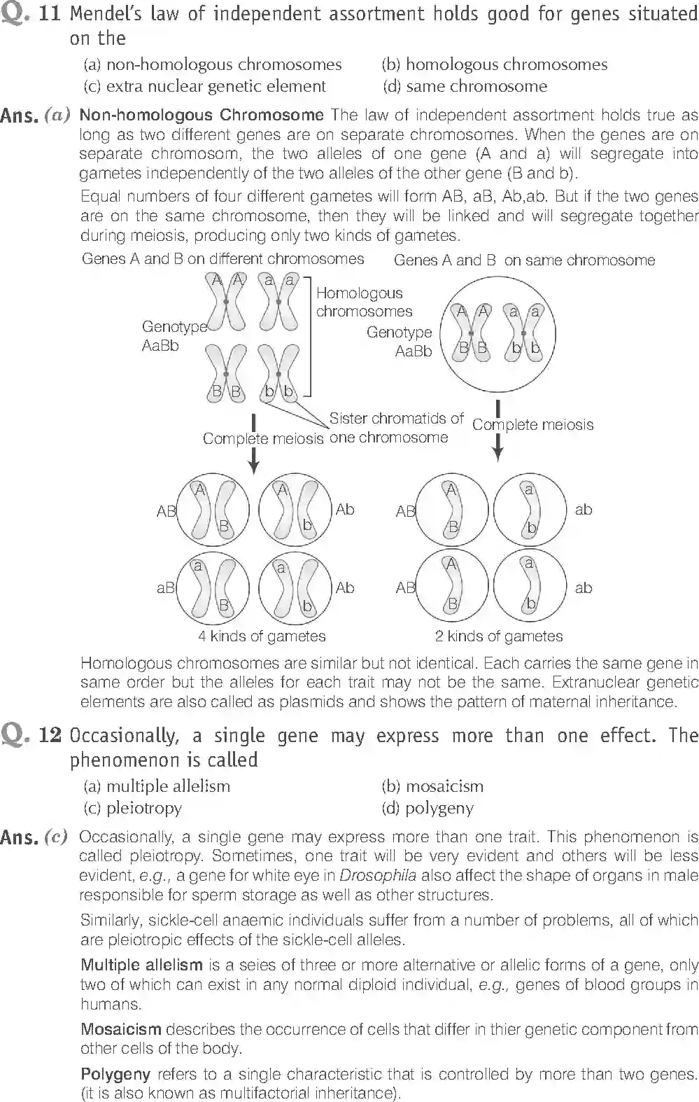 NCERT-Solution-Class-12-Biology-Exemplar-Principle-of-Inheritance-and-Variations-2493-page-6
