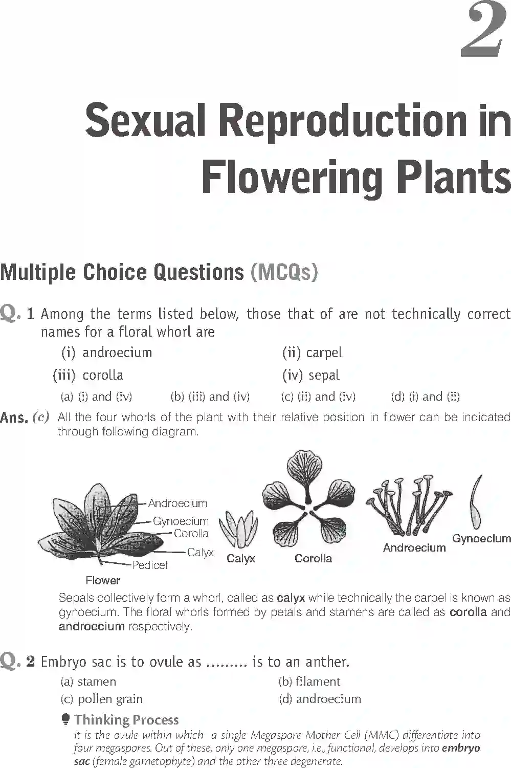 NCERT-Solution-Class-12-Biology-Exemplar-Sexual-Reproduction-in-Flowering-Plants-2490-page-1