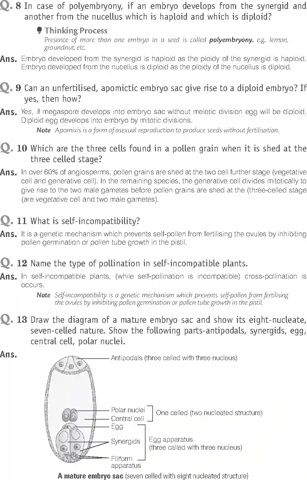 NCERT-Solution-Class-12-Biology-Exemplar-Sexual-Reproduction-in-Flowering-Plants-2490-page-12