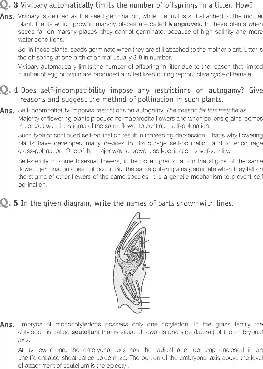 NCERT-Solution-Class-12-Biology-Exemplar-Sexual-Reproduction-in-Flowering-Plants-2490-page-16