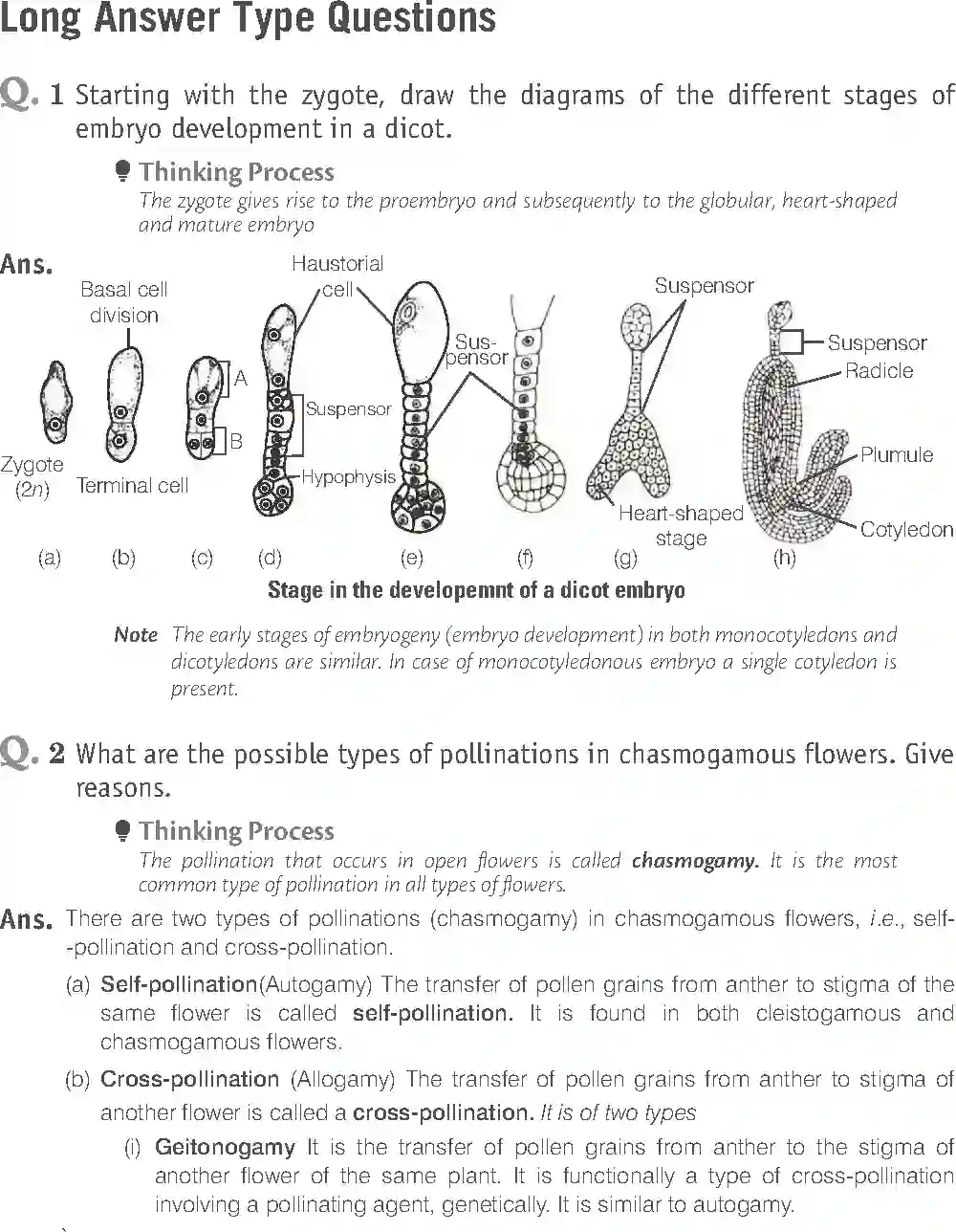 NCERT-Solution-Class-12-Biology-Exemplar-Sexual-Reproduction-in-Flowering-Plants-2490-page-19