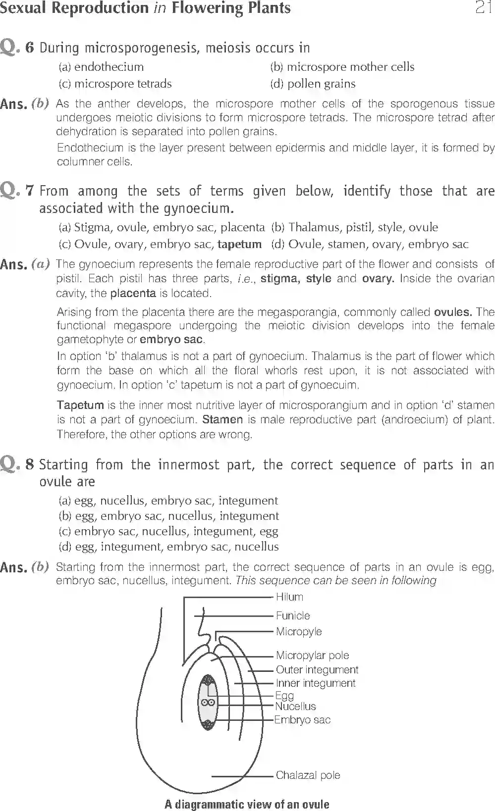 NCERT-Solution-Class-12-Biology-Exemplar-Sexual-Reproduction-in-Flowering-Plants-2490-page-3